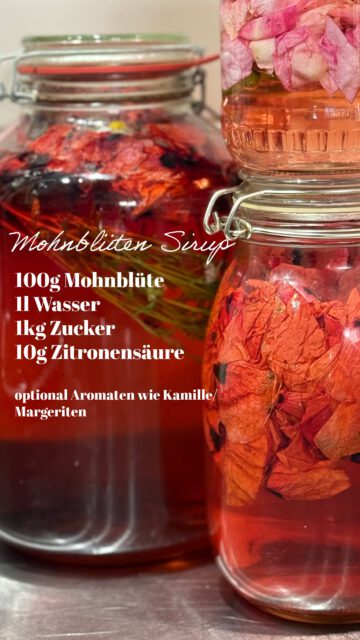 SPEICHERT DAS MOHNBLÜTEN SIRUP REZEPT! 😎

Rezept im Video und wenn ihr keine Lust zum sammeln & machen habt, kommt einfach zu uns ins Restaurant oder zu unseren exquisiten Events! 

Es gibt immer hausgemachte und absolut spannende Getränke sowie Speisen! Alles machen wir per Hand und mit viel Wissen 🌸

Restaurant: Mittwoch - Sonntag ab 17:00 
Magdeburg 

Events: über das Jahr verteilt über Webseite zu buchen. Überall bei Erzeugerinnen und an besonderen Orten

Checkt beides aus
