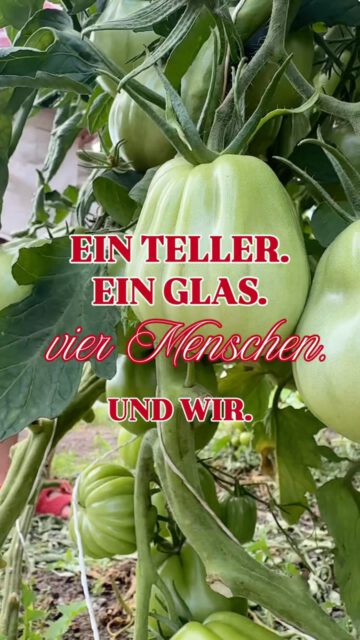 Ein Teller. Ein Glas. Vier Menschen. Und Wir.

Isa & Ben ziehen die Ochsenherzen exklusiv für uns in der Bördegärtnerei Erxleben groß @boerdegaertnerei .

Koni & Evi machen an der Saale|Unstrut den Silvaner Trias  @konni_und_evi .

Wir bringen beides zusammen.

vollreife Sommertomaten | Tomatenessenz | Erxleber Basilikum | Kräuteröl | Crunch und Trias Silvaner.

Manchmal braucht es gar nicht mehr 🍷 🍅