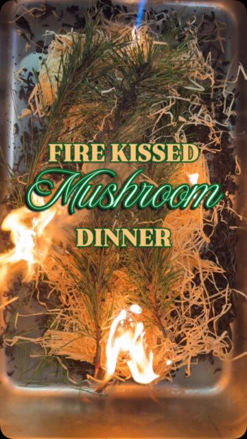 🔥 FEUER, RAUCH, WILDE AROMEN 🍄‍🟫 

Was für ein genialer Abend bei unserem Pilz-Dinner! 

Wir haben den Geschmack des Waldes auf die Teller gebracht. 
Intensiv, besonders und mit purer Leidenschaft. 

Lust bekommen? 
Buche dir dein nächstes Event-Ticket oder komm einfach ganz regulär in unserem Á-la-carte-Restaurant vorbei! 🍽️

👉 Alle Infos, Event-Termine & Öffnungszeiten findest du direkt über den Link in unserer Bio:

➡️ @botanica_speiselokal 

Wir freuen uns auf euch! 

#dinner #foodinspiration #restaurant #alacarte #regionaleküche