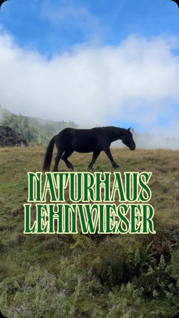 BOTANICA EMPFIEHLT 🌱🍀 12/10 🇦🇹 

Wenn ihr sehr gutes , und glaubt uns, wir sind schlimme Trüffelschweine, Bio Frühstück & Abendmenü an einem der schönsten Orte genießen wollt, ab zu @naturhauslehnwieser 

Dort dürfen Tiere einfach leben ganz ohne Ausbeutung, die Natur ist wunderschön

 ABER!!!! Egal wie schön der Ort sein mag, die Menschen machen die Magie aus! Und hier sind die Herzen an einem sehr richtigen Ort! Danke fürs vernetzen und mitkochen lassen 🫶