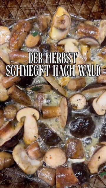Der Herbst schmeckt nach Wald. 🍂🍄

Bei uns beginnt ein Gericht mit einem Waldspaziergang, einem guten Fund und der Vorfreude auf das, was daraus entstehen kann.

Wir bringen die Aromen des Waldes auf den Teller! 
Saisonal, pflanzlich und mit viel Liebe zum Produkt.

Ein neues Gericht für die Jahreszeit: Zürcher Geschnetzeltes a la Botanica mit würzigen gebackenen Kartoffeln und ordentlich buntem Salat. Dazu süppelt ihr einen Silvaner von @konni_und_evi, hervorragenden Cidre von @trinkender.zobel oder unseren eigenen saisonal gebrauten Kombucha.

Die meisten Zutaten stammen naturgemäß von der Bio @boerdegaertnerei.

Ab sofort im Botanica @botanica_speiselokal 

📍 Magdeburg · Mi–So ab 17 Uhr

#BotanicaMagdeburg #MagdeburgEssen #SaisonaleKüche #Pflanzenküche #herbstküche